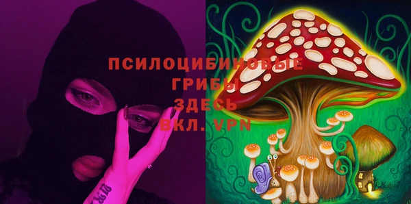 стаф Алексеевка