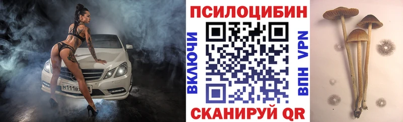 Псилоцибиновые грибы GOLDEN TEACHER  наркотики  Сосновка 